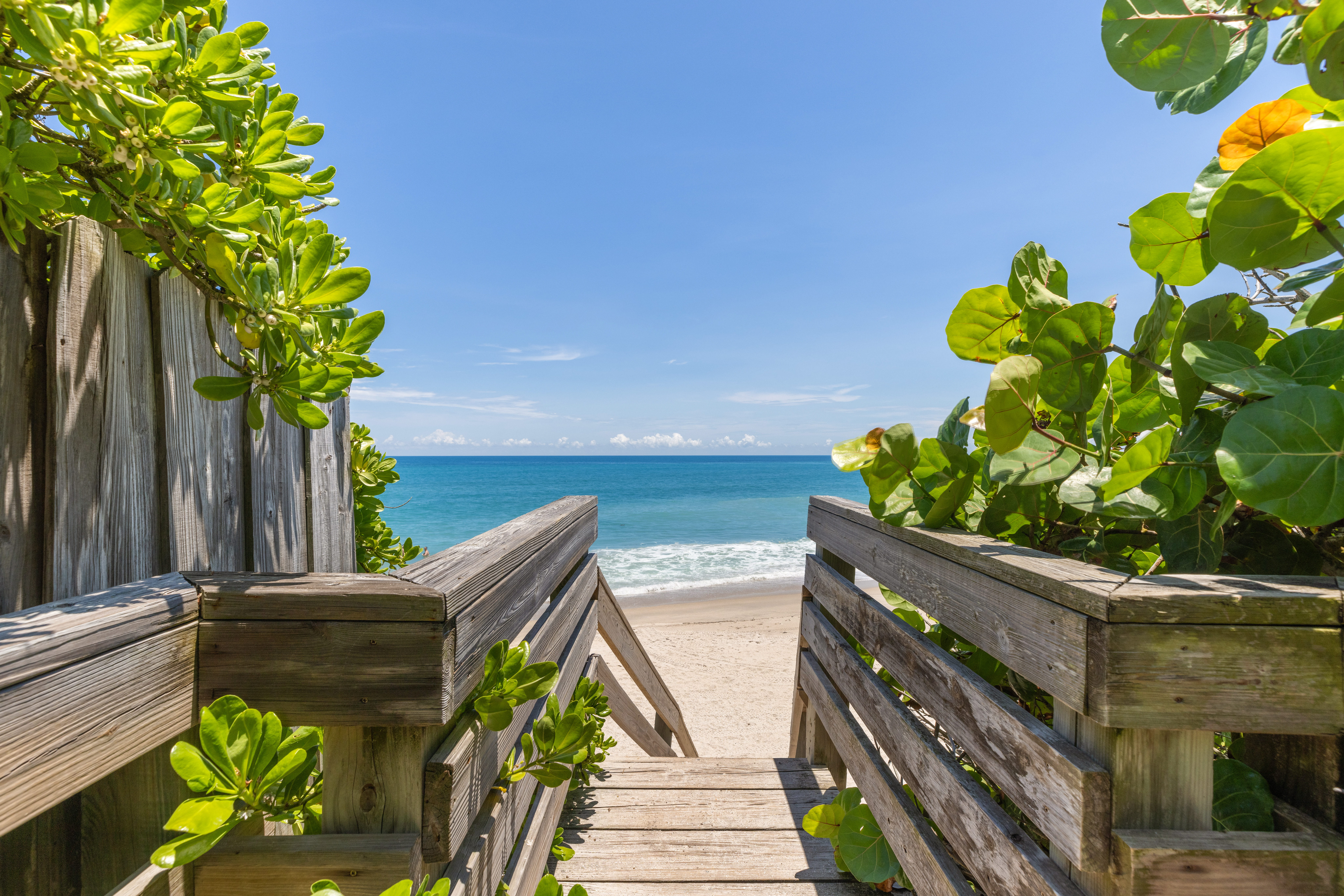 beach photography
